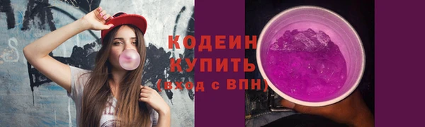 стаф Осинники