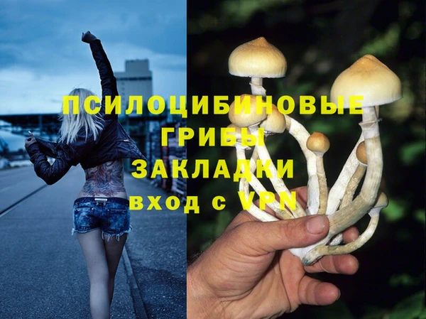 стаф Осинники