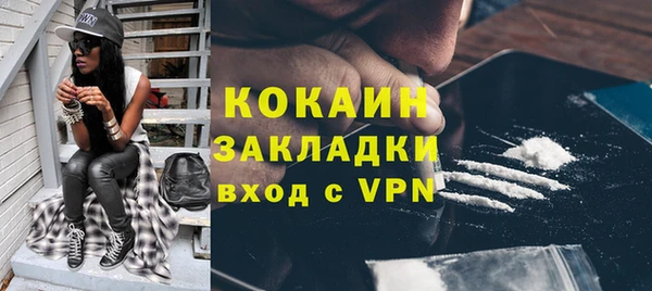 стаф Осинники