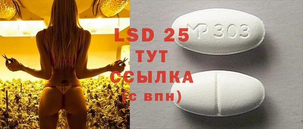 стаф Осинники