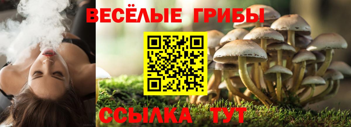 Псилоцибиновые грибы ЛСД  Вход с VPN  Рузаевка 